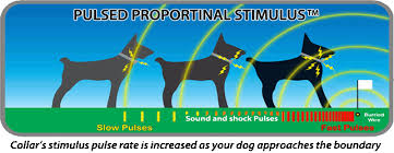 Alibaba.com offers 860 invisible fence installation products. Electronic Dog Fences
