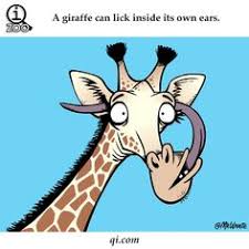 Are you looking for interesting animal facts for kids? 37 Interesting Facts For Kids Ideas Facts For Kids Fun Facts For Kids Facts
