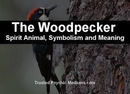 The Woodpecker Spirit Animal A Guide To Meaning Symbolism Woodpecker Spirit Animal Animal Spirit Guides
