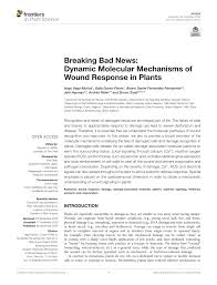 Rechnung physiotherapie vorlage wunderbar rechnung schreiben privat. Pdf Breaking Bad News Dynamic Molecular Mechanisms Of Wound Response In Plants