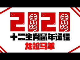 2020十二生肖庚子鼠年运程运势 龙蛇马羊运程 新加坡马来西亚香港台湾华人必看 最好的生肖 ahmiao tv youtube north face