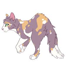 Tawnypelt By Meow286 Deviantart Com On Deviantart Warrior Cats Books Warrior Cats Fan Art Warrior Cat Drawings