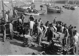 I B 941 Douarnenez Arrivage De La Sardine Bateaux De Peches En Vente Sur Delcampe Douarnenez Bateaux De Peche Bateaux