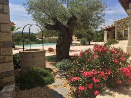 Start by marking jardins de méditerranée as want to read Jardins Ginoux Paysage