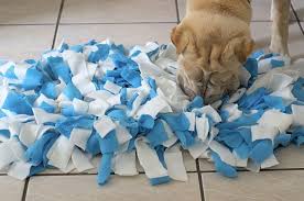 Diy Fabriquer Un Snuffle Mat Ou Tapis De Fouille Pour Chien Tapis Chien Diy Pour Chien Activites Pour Chien