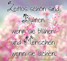 Dreamies De Vxn8zldo1ax Jpg Spruche Lebensweisheiten Spruche Spruche Zitate