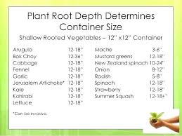 Plant Pot Sizes Chart Pernime Info