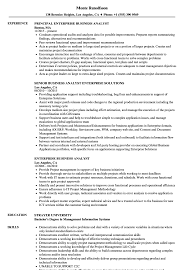 Enterprise Business Analyst Resume Samples Velvet Jobs