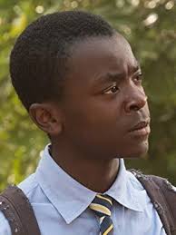 The Boy Who Harnessed the Wind (2019)