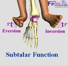 Image result for Talar Tilt