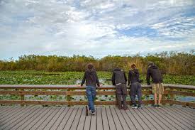 To the Everglades! — find your outside voice