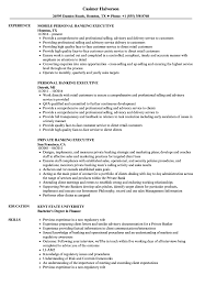 Writing a powerful cv profile. Banking Executive Resume Samples Velvet Jobs