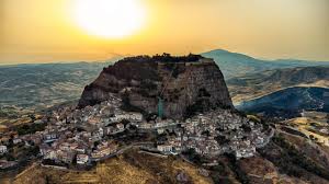 Image result for Sutera debilis