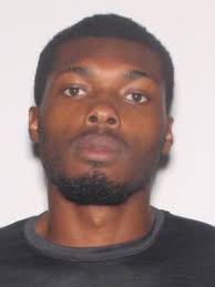 Sex Offenders near Lehigh Senior High School