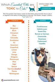 Which Essential Oils Are Toxic To Cats Which Ones Are Safe A Complete Guide Essential Oils For Fleas Essential Oils Dogs Essential Oil Spray Recipes