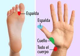 Cada masaje tiene una duración de 40 a 45 minutos. Masajes Para Dolor De Espalda Y Cuello Ciatica Y Hernias Discales