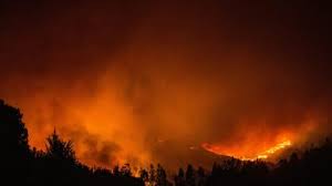 Savesave incêndios florestais for later. Estado De Emergencia Na Florida Por Mais De 100 Incendios Florestais Istoe Independente