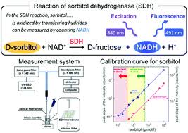 How long can you take sorbitol at room temperature? A Fiber Optic Sorbitol Biosensor Based On Nadh Fluorescence Detection Toward Rapid Diagnosis Of Diabetic Complications Analyst Rsc Publishing