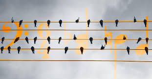 Someone who writes books, articles etc, especially as their job. Music Theory The Basics You Need To Make Better Music Landr Blog