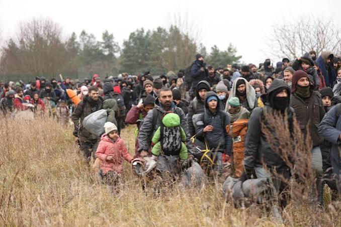 Poland-Belarus border: The people pushed back in a Polish forest | Refugees | Al Jazeera
