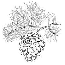 Download clker's tree silhouette clip art and related images now. Pine Cone Coloring Pages Google Search Pyrography Patterns Embroidery Patterns Tree Coloring Page