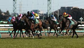 中山牝馬ステークス 人気馬の評価 ドナアトラエンテ リアアメリア 前で競馬した方が良いと思いますが、コメントを見る限りはあんまり前に行かなさそう。 この枠なので揉まれ弱い同馬にはどうか？ 重馬場でバラけそうなので判断が難しいですが ãƒ¬ãƒ¼ã‚¹ã«ã¤ã„ã¦ ãƒ­ãƒ¼ãƒ¬ãƒ«ç«¶é¦¬å ´è³žä¸­å±±ç‰é¦¬ã‚¹ãƒ†ãƒ¼ã‚¯ã‚¹ ä»Šé€±ã®æ³¨ç›®ãƒ¬ãƒ¼ã‚¹ Jra