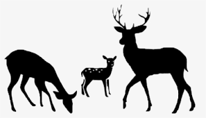 Deer hunting svg, hunting svg files, hunter svg, hunting gifts svg,, deer svg, hunting shirts svg, digital files, cutting files, eps,dxf,png, svg designs, svg quotes instant digital download includes: Deer Clip Art Silhouette Vector Graphics Portable Network Eat Sleep Hunt Svg Hd Png Download Transparent Png Image Pngitem