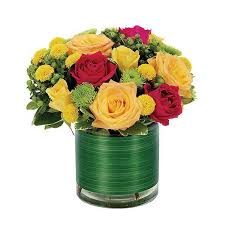 Stockton is a city where the arts, culture and sports are always celebrated. Mom S Wholesale Florist 8252 Auburn Blvd Citrus Heights Ca 95610 Yp Com
