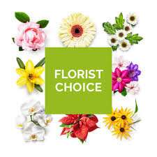 Arts and flowers is the 73nd animated cartoon short subject in the woody woodpecker series. Florist Choice Flowers R C Ferguson