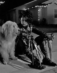 We have an extensive collection of amazing background images carefully chosen by our community. Edward Scissorhands 1990