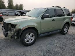 Image result for Kiwi Green 2008 Escape