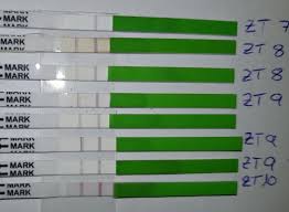 Woher weiß ich, wann ich einen ovulationstest verwenden soll? Ovulationstest Vol 13 Hibbeln Auf 2022 Kinderwunsch Seite 83 Babycenter