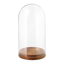 Harliga Clear Glass Glass Dome With Base Height 27 Cm Ikea In 2020 Glass Domes Glass Clear Glass