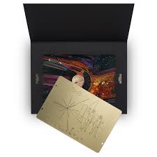 Image result for pioneer plaque