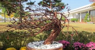 David Gibbon A Third Year Queensland College Of Art Griffith University Jewellery And Small Objects Student Is Currently In Da College Art Art Gallery Gibbon