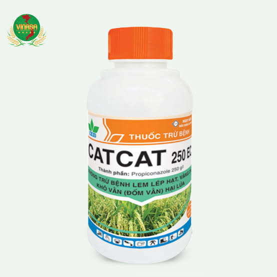 Catcat 250EC