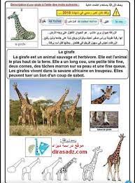 موقع دراسة ديزاد بنك الفروض والاختبارات مذكرات تعبير عن الزرافة باللغة الفرنسية للسنة الخامسة ابت Pandora Screenshot