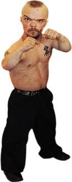 I understand the app can be used for free, but it's absolutely clear the more attractive choices are on the discover section in which you. 20 Dwarf Wrestling Ideas Wrestling Wwe Wrestling Tournaments