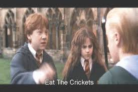 Harry potter has lived under the stairs at his aunt and uncle's house his whole life. The English Subtitles On A Chinese Harry Potter And The Chamber Of Secrets Dvd Are Hilarious Album On Imgur
