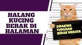Bagi peminat kucing, memelihara kucing merupakan salah satu terapi bagi mereka, namun kadang anda juga boleh meletakkan serai di sudut sudut rumah untuk mengelakkan mereka kencing merata. Tips Nak Elakkan Kucing Kencing Merata Youtube