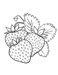 May 17, 2021 · strawberry mixture: Coloring Pages Bunch Of Strawberries Coloring Pages
