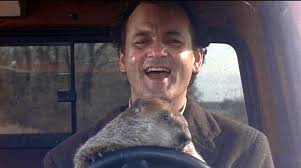 El famoso y mítico 'día de la marmota' (groundhog day), sobre todo por la celebrada película protagonizada por bill murray y andie mcdowell hoy martes 2 de febrero de 2021, en esta pequeña población estadounidense la marmota phil ha predecido seis semanas más de invierno gracias a su. Que Es El Dia De La Marmota Que Quiere Decirnos Bill Murray