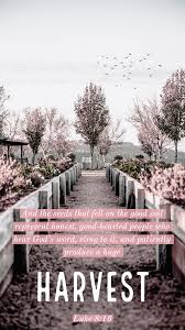 Free mobile wallpaper background free bible lock screen wallpaper for your mobile phone device. Pin On Quote Backgrounds Lockscreens