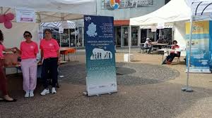 Photo Deux jours pour trois dfis : le premier Alre'rose a attir 220 adultes ...