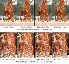 Understanding Depth Of Field A Beginners Guide