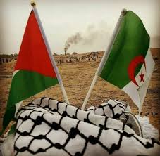 محاكمة الجنرال المتقاعد علي غديري يوم 22 سبتمبر المقبل; ØµÙˆØ± ÙÙ„Ø³Ø·ÙŠÙ† Twitterissa Ø¹Ù„Ù… Ø§Ù„Ø¬Ø²Ø§Ø¦Ø± Ø§Ù„Ø´Ù‚ÙŠÙ‚Ø© ÙˆØ®ÙŠÙ…ØªÙ‡Ø§ Ø§Ù„Ø·Ø¨ÙŠØ© Ø­Ø§Ø¶Ø±ÙŠÙ† ÙÙŠ Ø¬Ù…Ø¹Ø© Ø­Ø±Ù‚ Ø§Ù„Ø¹Ù„Ù… Ø§Ø³ØªÙ…Ø±Ø§Ø±Ø§ Ù„Ù€ Ù…Ø³ÙŠØ±Ø© Ø§Ù„Ø¹ÙˆØ¯Ø© Ø§Ù„ÙƒØ¨Ø±Ù‰ Ø§Ù„ØªÙŠ Ø§Ù†Ø·Ù„Ù‚Øª Ù…Ù†Ø° 30 Ù…Ø§Ø±Ø³ Ø§Ù„Ù…Ø§Ø¶ÙŠ Ù…Ù† ØºØ²Ø© Https T Co M6pa7wopfs
