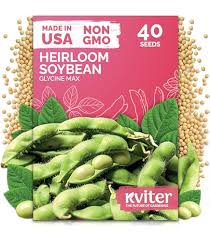 Image result for Glycine max