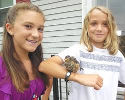 Abandoned robin nursed back to health by Pennsville children now thriving
