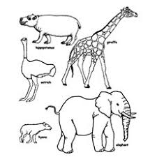 Choose an animal among the domestic animals and savage to print the colorings. Top 25 Free Printable Wild Animals Coloring Pages Online