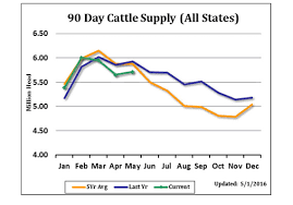 forget stocks and bonds get bullish on live cattle futures